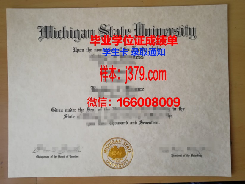 密歇根州立大学 diploma 毕业证