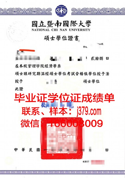 尔穆硕士学位证：承载荣誉与梦想的通行证