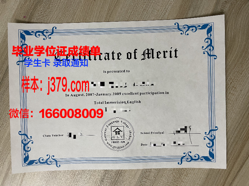 山大硕士学位证书图片样本：承载荣誉与梦想的证书
