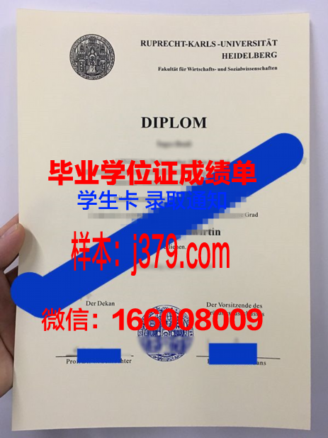海德堡大学毕业证翻译(海德堡大学中文官网)