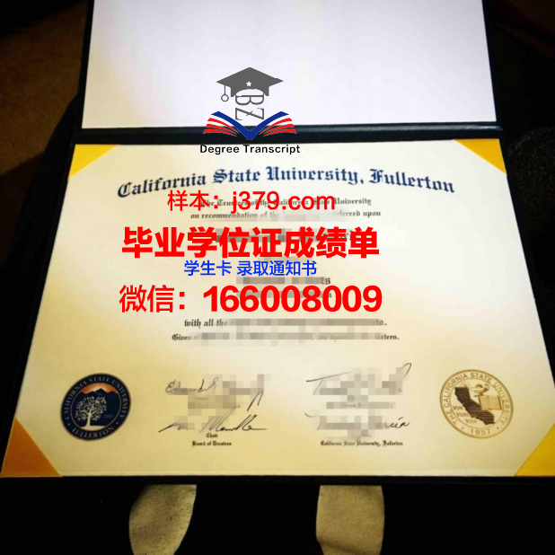 富尔顿蒙哥马利社区学院证书成绩单(纽约富尔顿蒙哥马利学院)