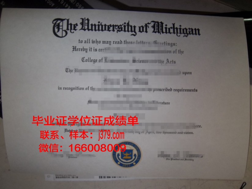 泰拉威帝理工学院毕业证