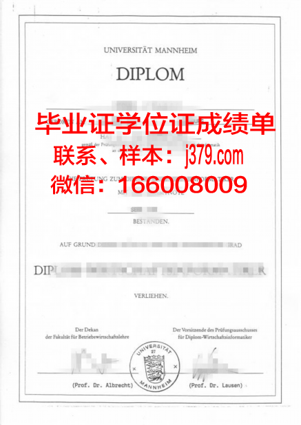 国立曼海姆音乐与表演艺术学院毕业证封面(曼海姆大学mmm)