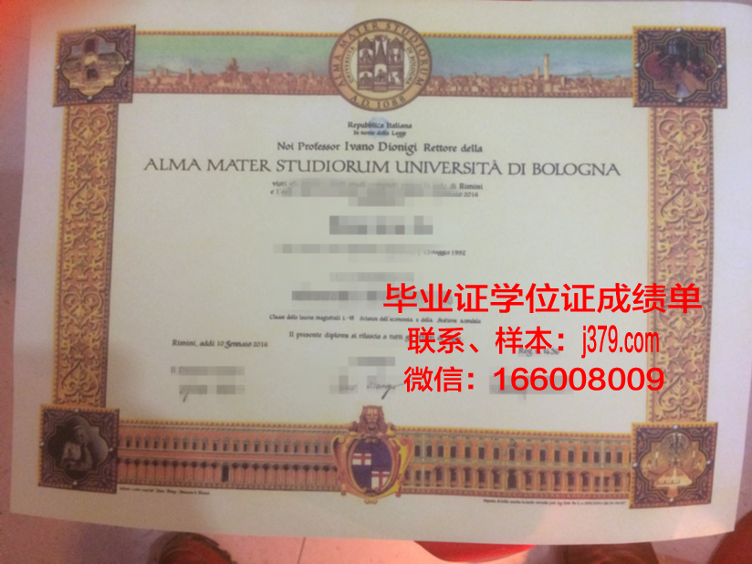 尼亚博士毕业证书图片：记录辉煌时刻的永恒见证
