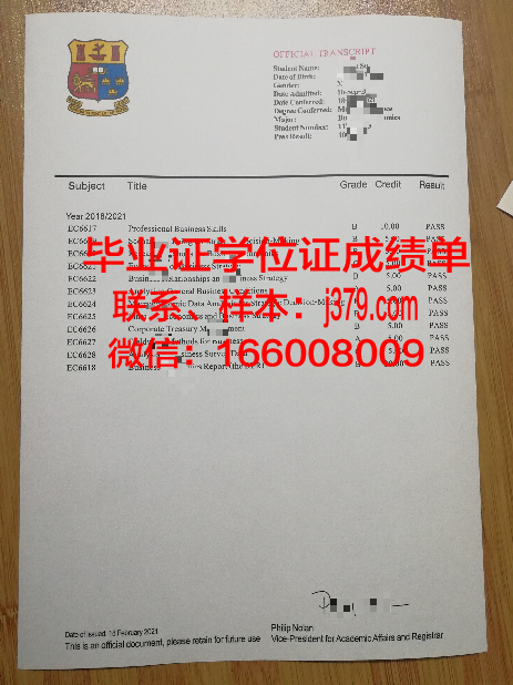 泰尔梅兹国立大学diploma证书