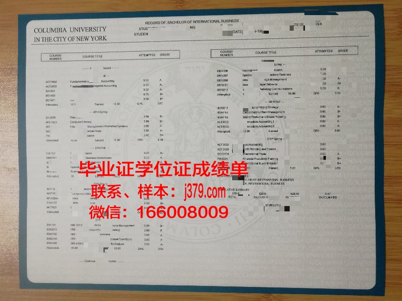 尼扎姆学院成绩单：揭示学术成就与成长轨迹