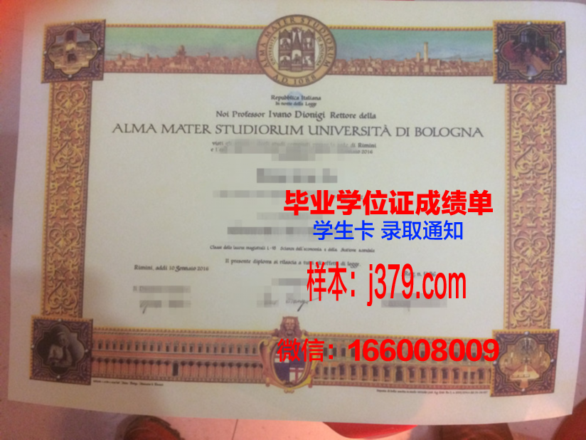 尼亚硕士学位证书图片：跨越时空的学术见证