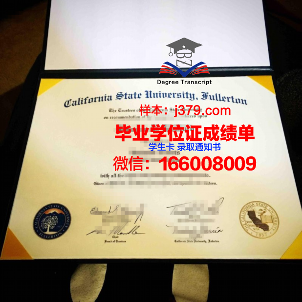 富尔顿-蒙哥马利社区学院毕业文凭