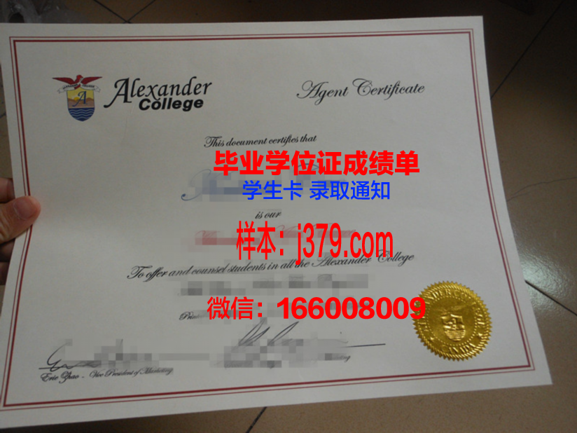 山大与山大威海毕业证编号一样吗(山大和山大威海毕业证一样吗)
