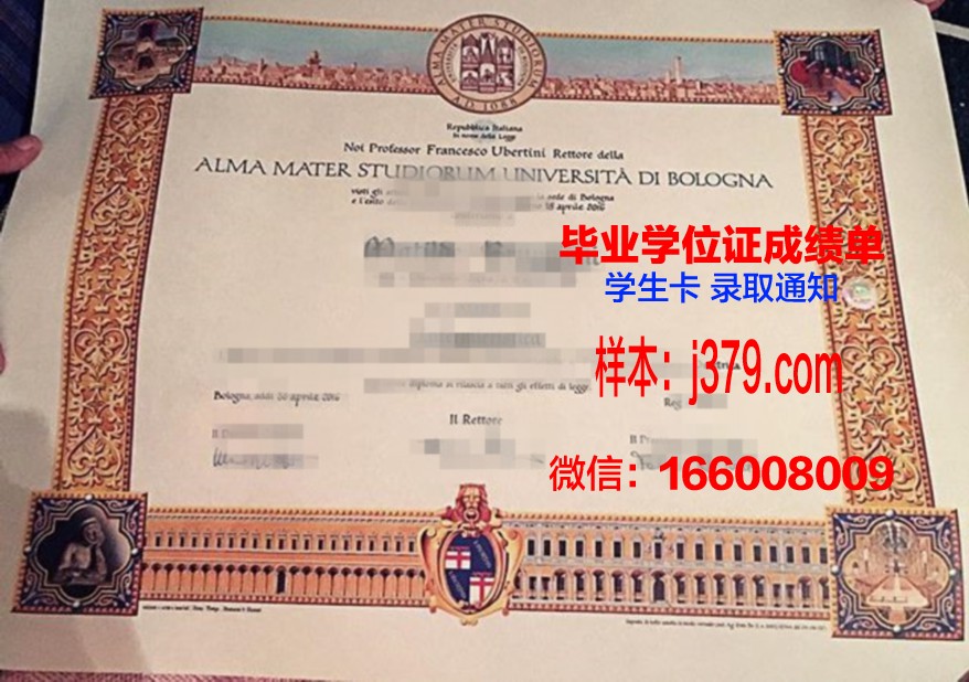 尼亚大本科毕业证：跨越洲际的学术荣耀