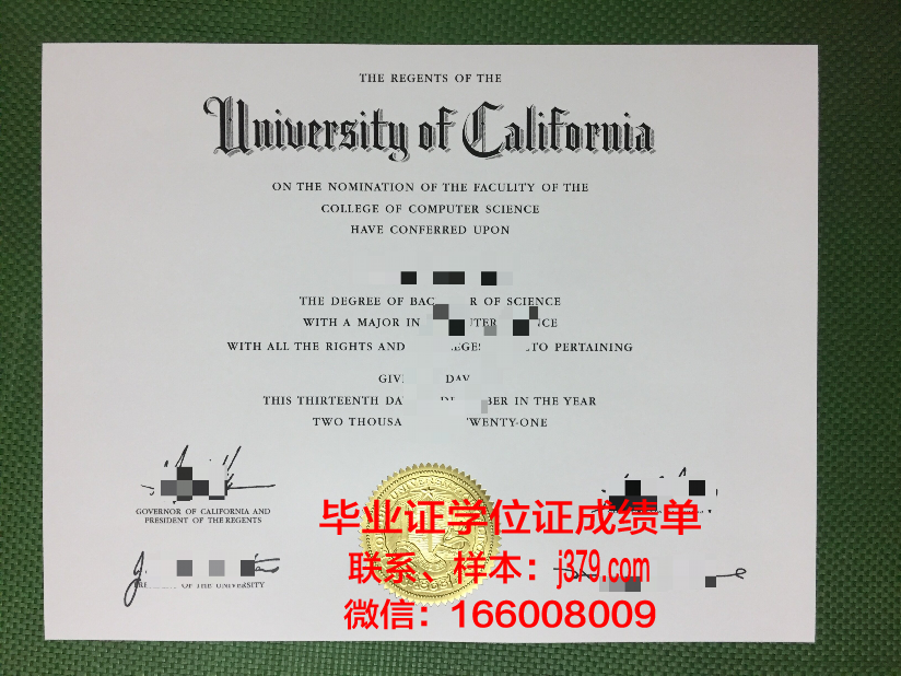 小学毕业证丢了怎么办(如果小学毕业证丢了怎么办)