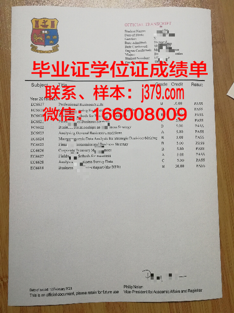 国立纯数学与应用数学研究所毕业证书图片(新国立数学硕士)