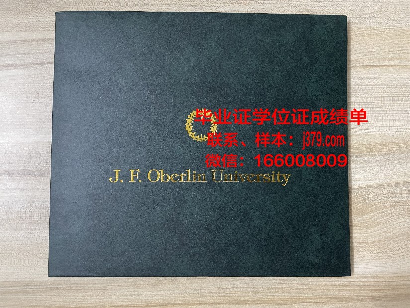 洛林大学梅斯国立工程师学院毕业证高清图(洛林大学官网)