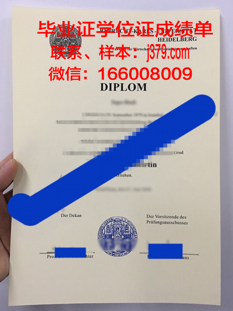 海德堡大学博士毕业证书(海德堡大学法学博士申请)