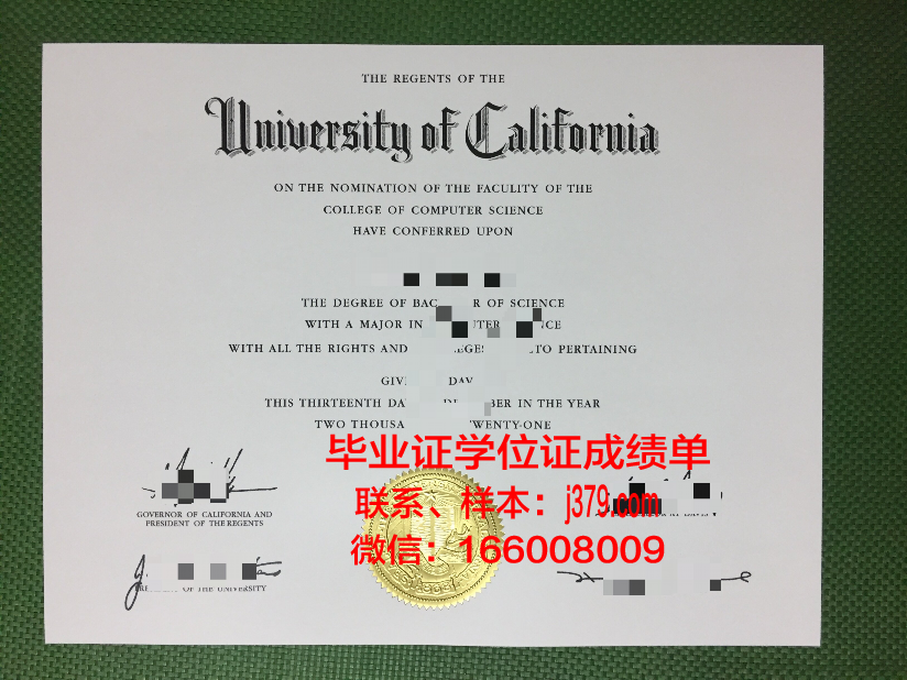 尼尔森航空学院毕业证高清图(尼尔森应届生待遇)