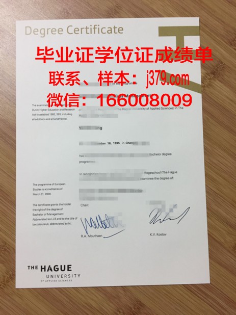 海牙大学毕业学位