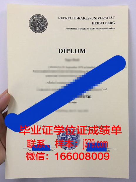 海德堡大学本科毕业证(海德堡大学毕业率)
