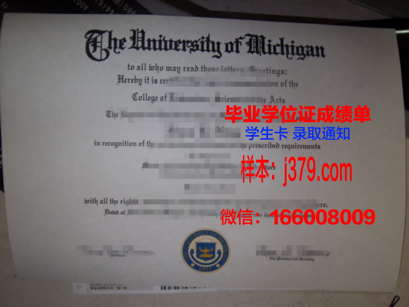 尼斯大学毕业证diploma