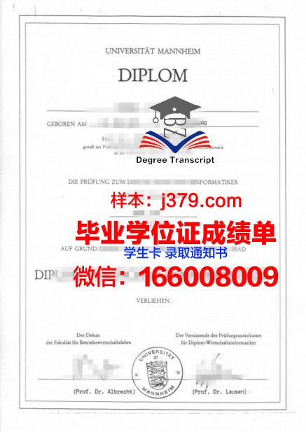 国立曼海姆音乐与表演艺术学院硕士毕业证：一张通往音乐巅峰的通行证