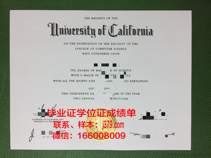 洛尼毕业证成绩单：一份珍贵的青春记忆