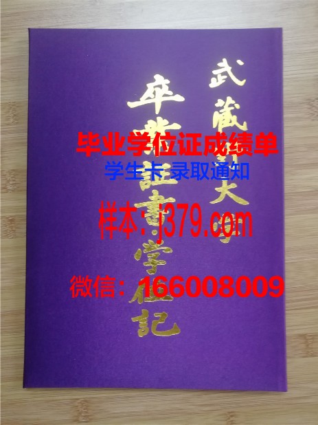 国立航空大学基洛夫格勒飞行学院毕业证壳子