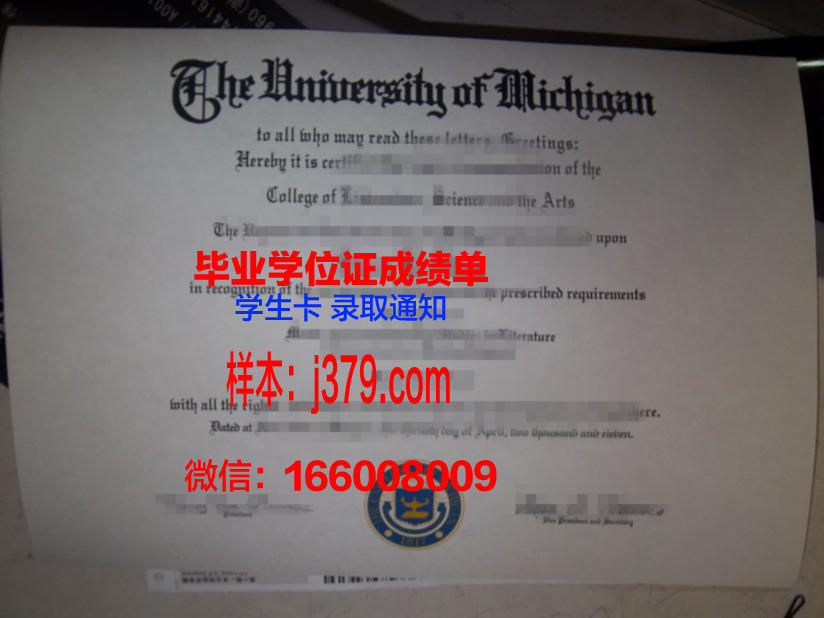 尼尔森航空学院读多久才毕业证(尼尔森2021校招)