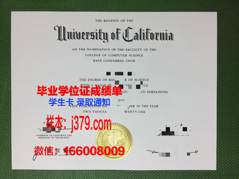 小奥博士毕业证：一张证书背后的故事