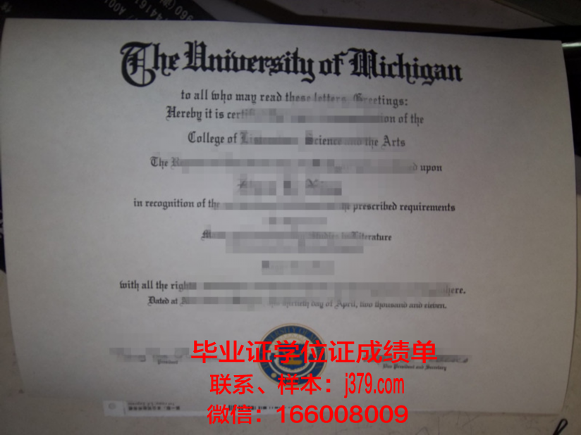 山南道大学毕业证案例