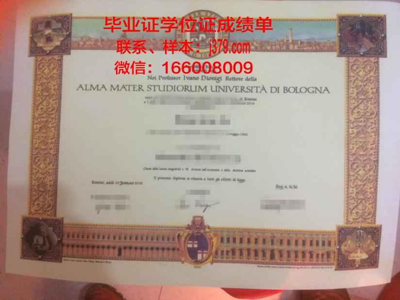 尼亚大本科毕业证：跨越洲际的学术荣耀