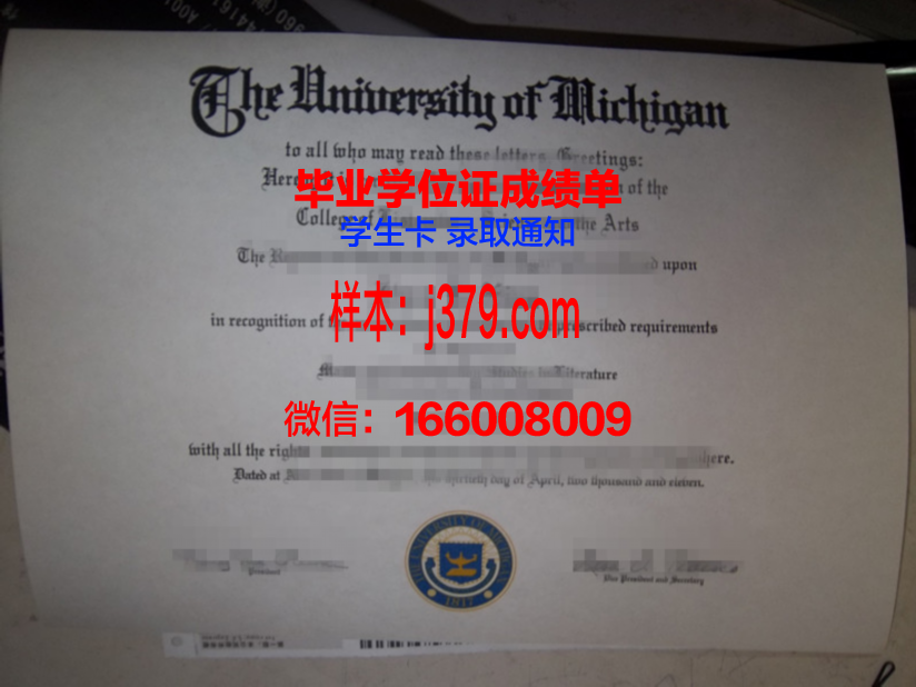 山形大学博士毕业证(博士毕业证丢了怎么办)