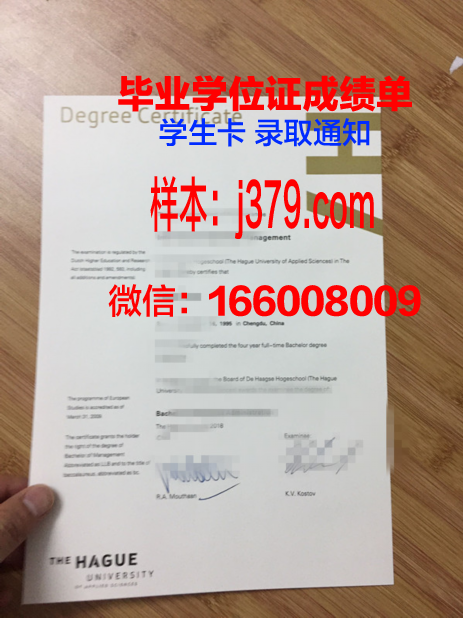海牙大学毕业证Diploma文凭