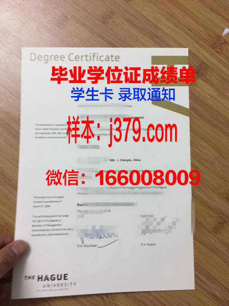 海牙大学毕业学位