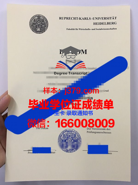 海德堡大学毕业证学位证(海德堡大学本科几年)