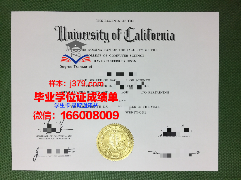就实大学毕业证电子版