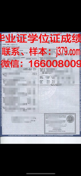 洛大学成绩单：一份见证成长的纸笔传奇
