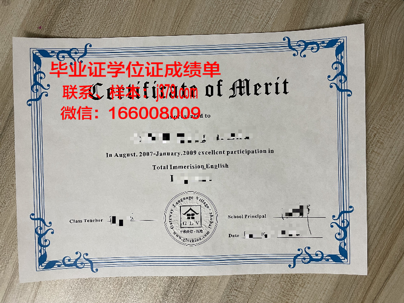 尼尔森航空学院毕业证书图片(尼尔森工作怎么样)