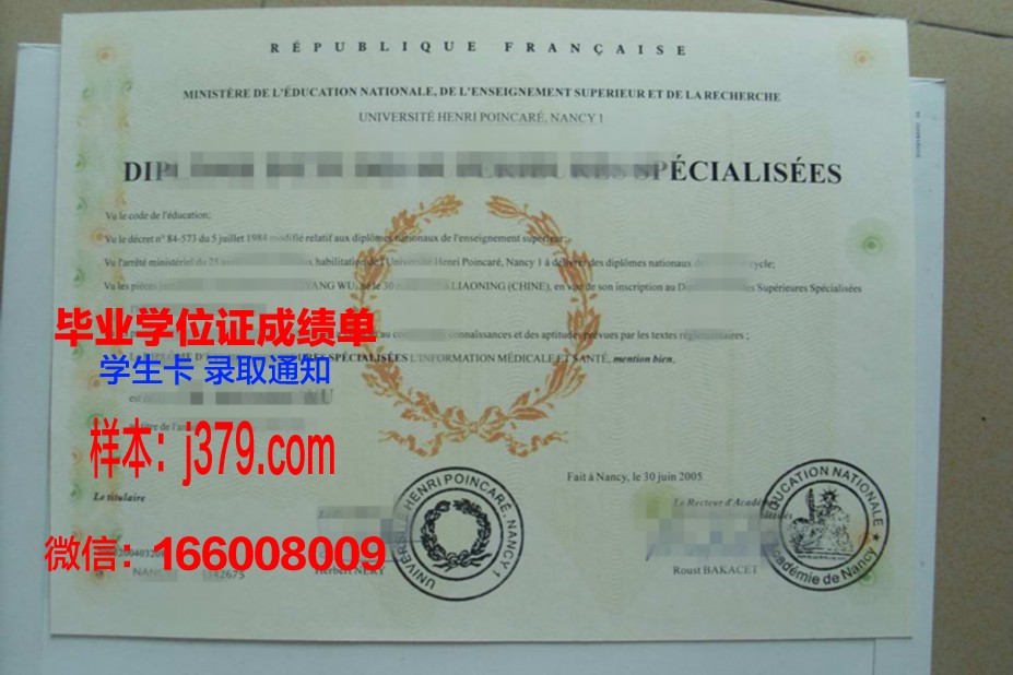 洛林大学南锡国立高等矿业学院毕业证照片