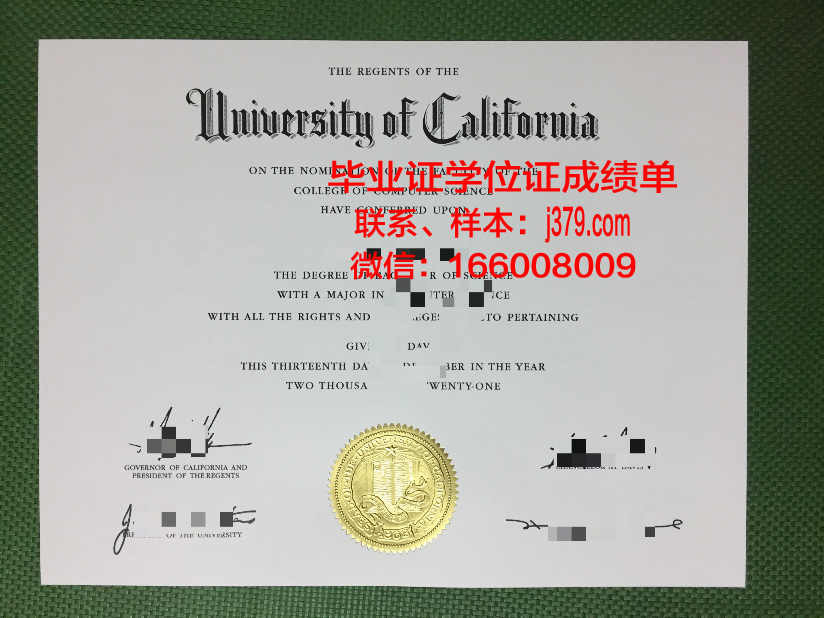 尼尔森航空学院毕业证是真的吗(尼尔森2021校招)
