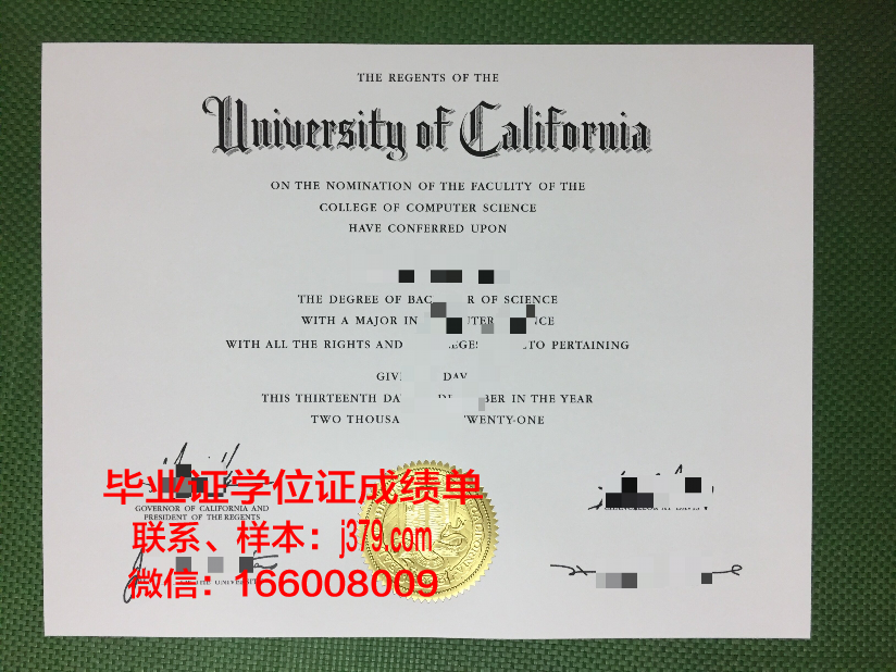 对外大本科毕业证：开启国际舞台的通行证
