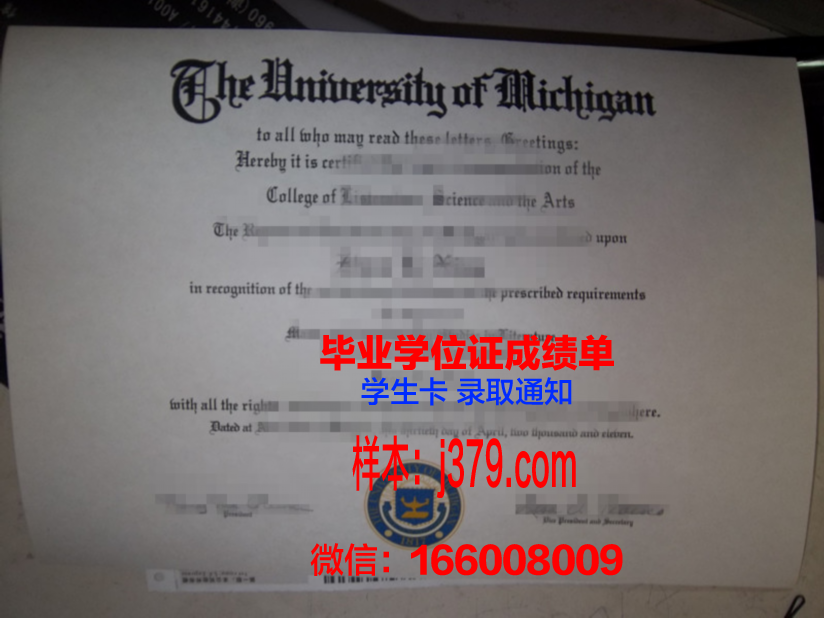 尼斯大学本科毕业证：开启国际化教育新篇章