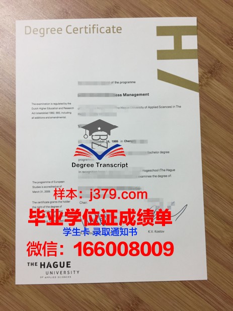 海梅一世大学毕业证防伪(海牙大学毕业证)
