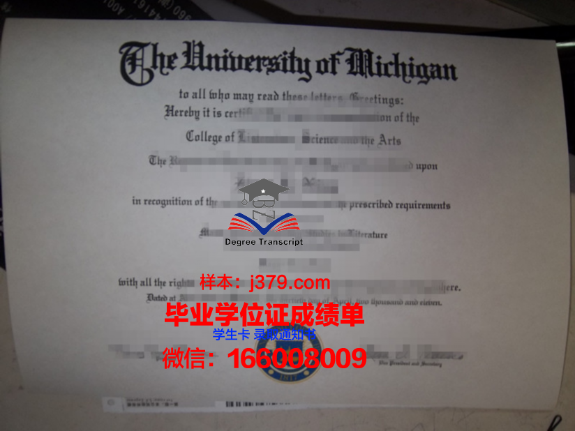 尼赫鲁科技大学硕士毕业证(尼赫鲁大学中文系)