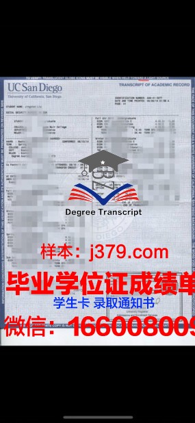 小松短期大学成绩单：揭示成长轨迹的宝贵资料