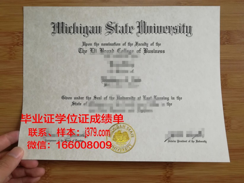 密歇根州立大学 diploma 毕业证