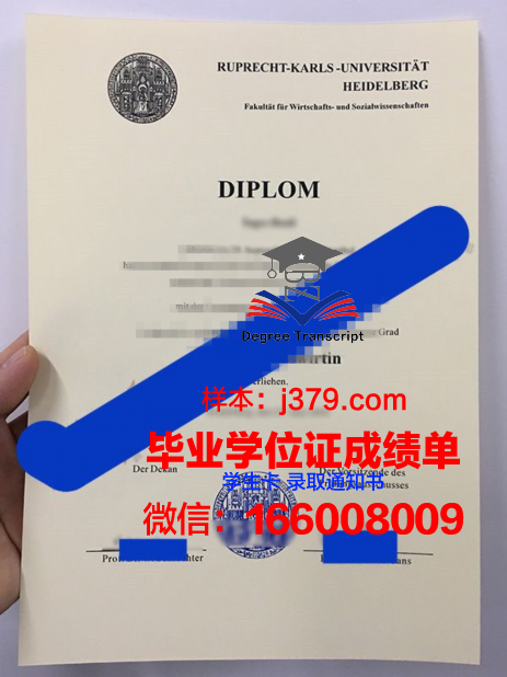 海德堡大学毕业证尺寸(海德堡大学本科入学要求)
