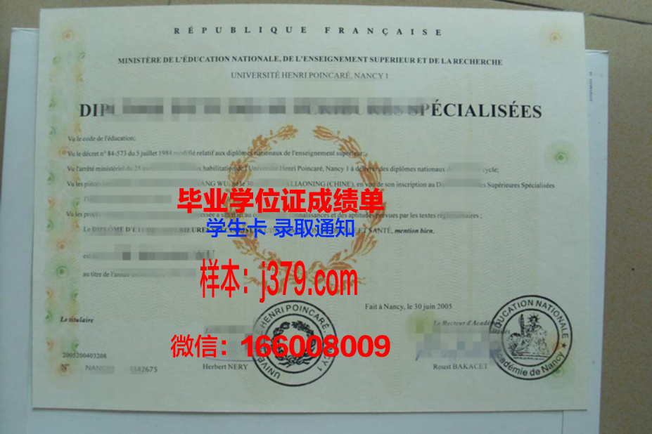 洛林大学南锡国立高等矿业学院毕业证模板