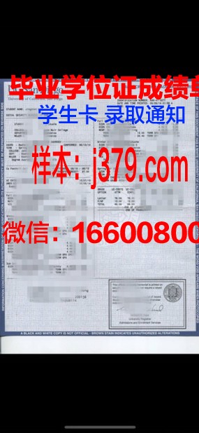 尼尔森航空学院学位成绩单定制：打造专业航空人才的坚实基石