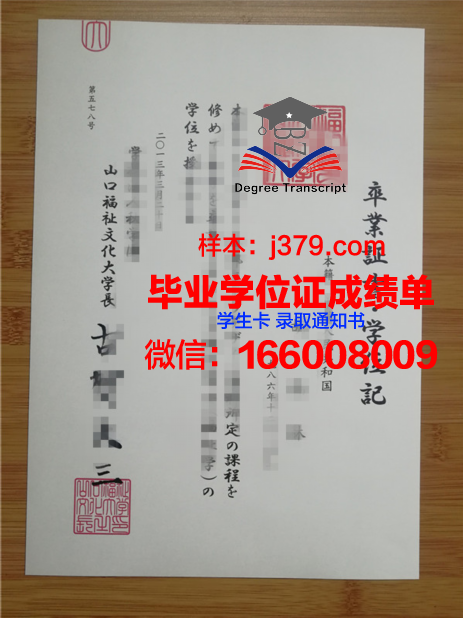 山口大学学位成绩单定制：诚信与学术公平的反思