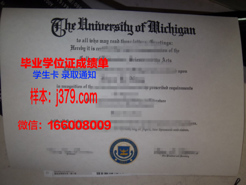 海外大学毕业证多少钱(海外毕业证丢了怎么办)