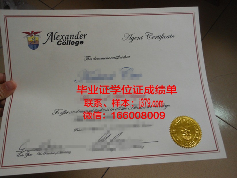 山大毕业证图片大全集：时光的见证，青春的印记